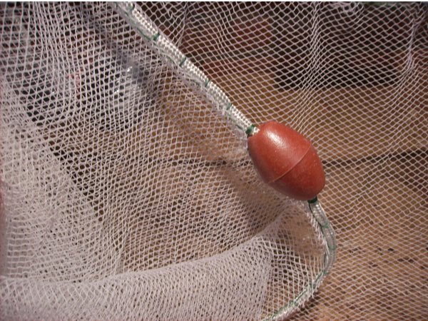 foto nr. 2 van deze Toebehoren Bowls En Netten , 