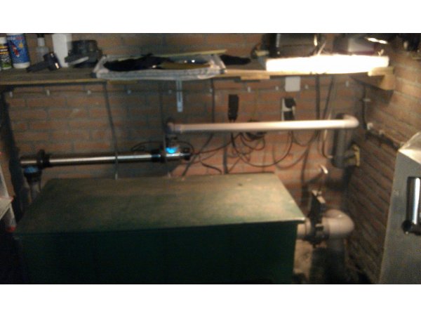 foto nr. 8 van deze Koi Overige , 