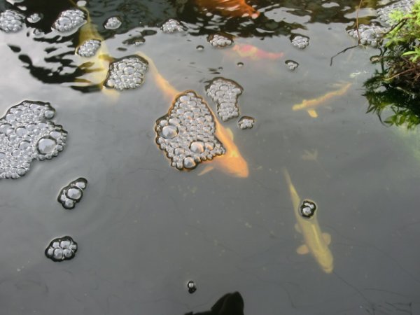 foto nr. 5 van deze Toebehoren Overige , 