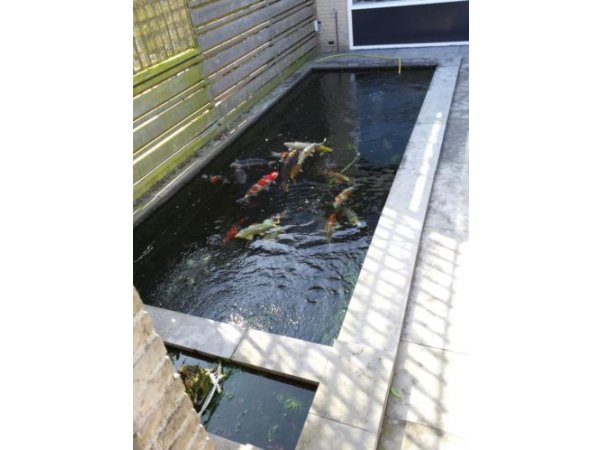 foto nr. 1 van deze Toebehoren Filters , 