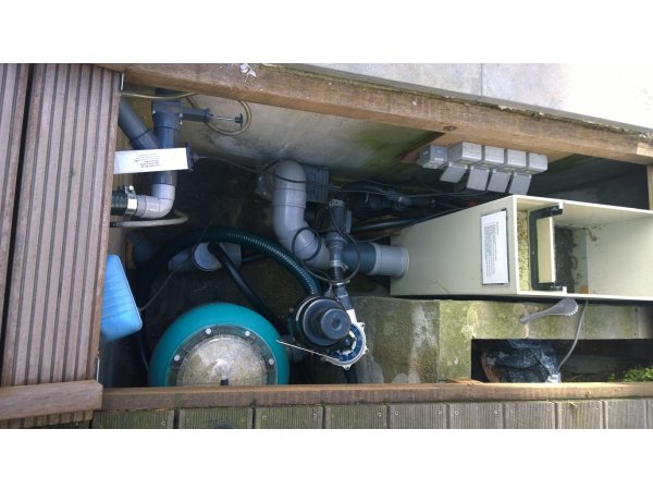 foto nr. 1 van deze Koi Overige , 