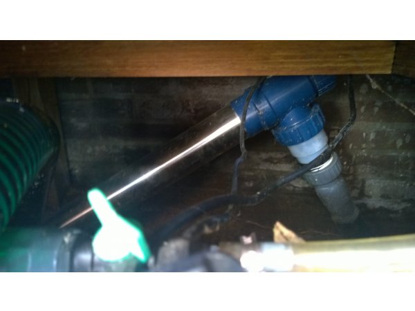 foto nr. 5 van deze Koi Overige , 