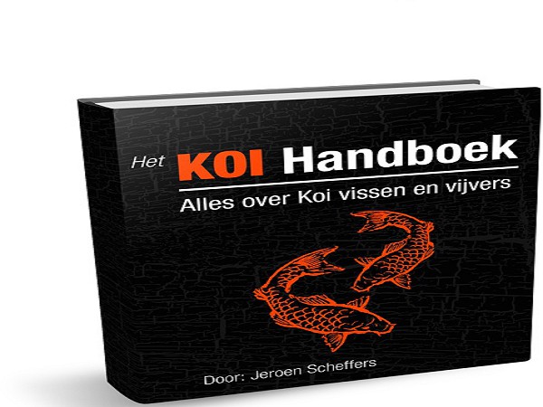 foto nr. 1 van deze Koi Overige , 