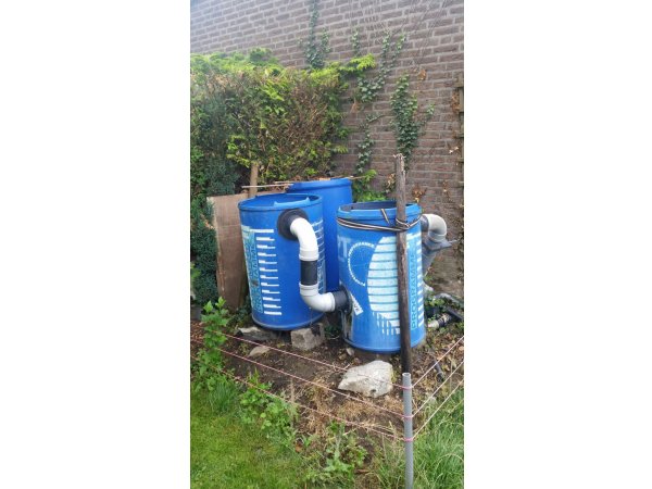 foto nr. 2 van deze Koi Overige , 