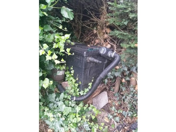 foto nr. 5 van deze Koi Overige ,