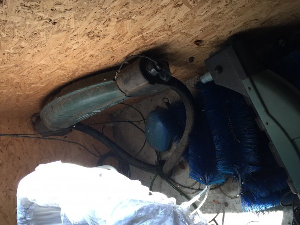 foto nr. 1 van deze Koi Overige , 