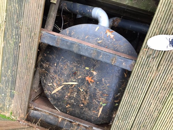 foto nr. 4 van deze Koi Overige , 