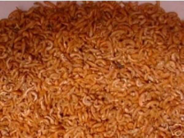 foto nr. 1 van deze Voer Eigen Merk , 