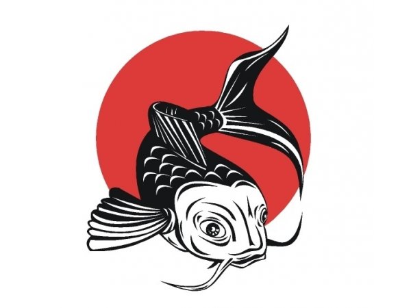 foto nr. 1 van deze Koi Overige , 