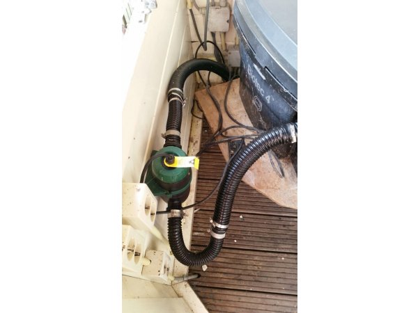 foto nr. 5 van deze Koi Overige , 