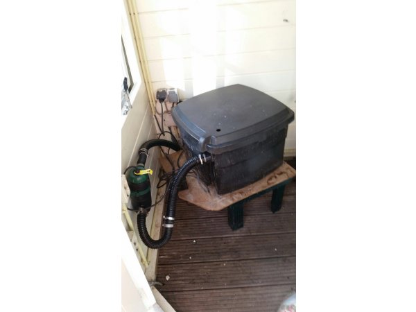 foto nr. 7 van deze Koi Overige , 