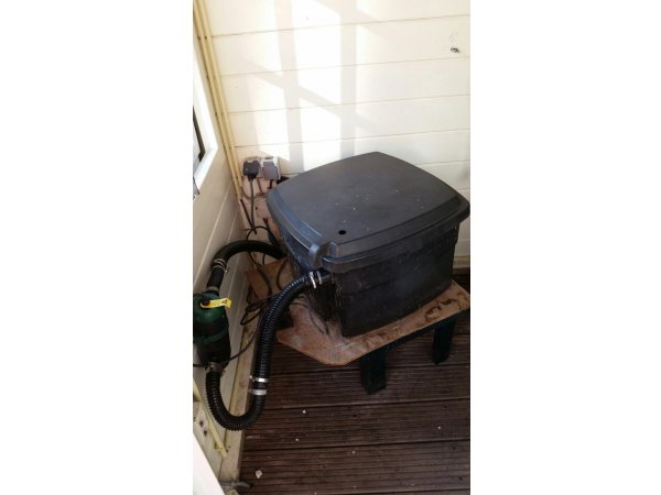 foto nr. 1 van deze Koi Overige , 