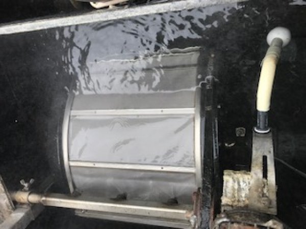 foto nr. 5 van deze Koi Overige , 