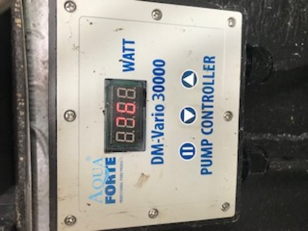 foto nr. 4 van deze Koi Overige , 