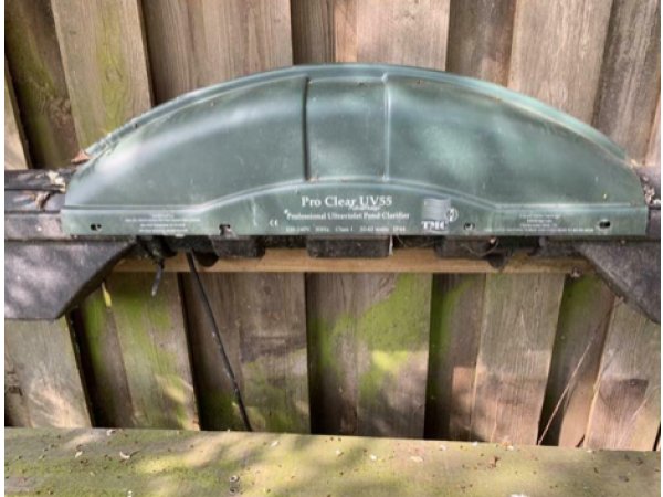 foto nr. 3 van deze Koi Overige , 