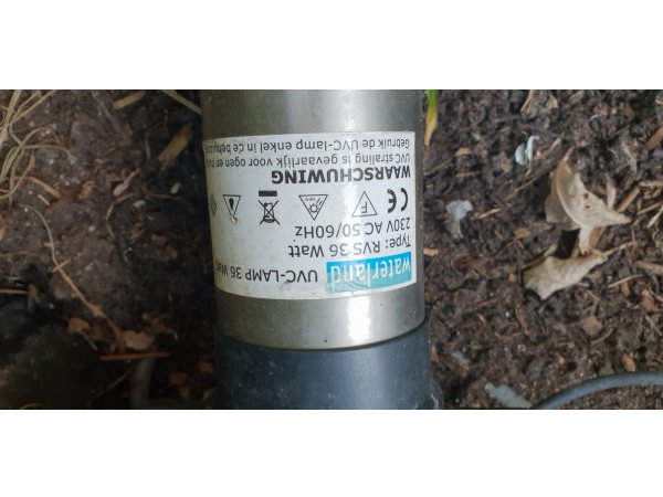 foto nr. 10 van deze Koi Overige , 