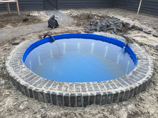 foto nr. 1 van deze Koi Overige , 