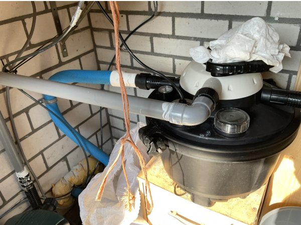 foto nr. 5 van deze Koi Overige , 