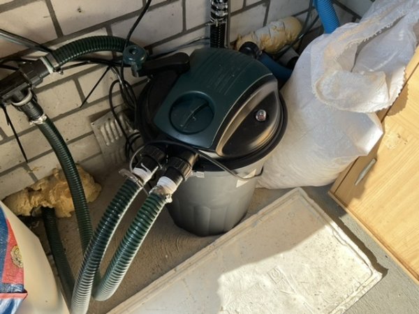 foto nr. 4 van deze Koi Overige , 