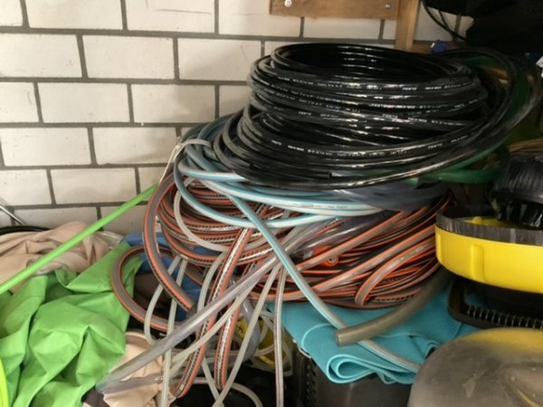 foto nr. 9 van deze Koi Overige , 