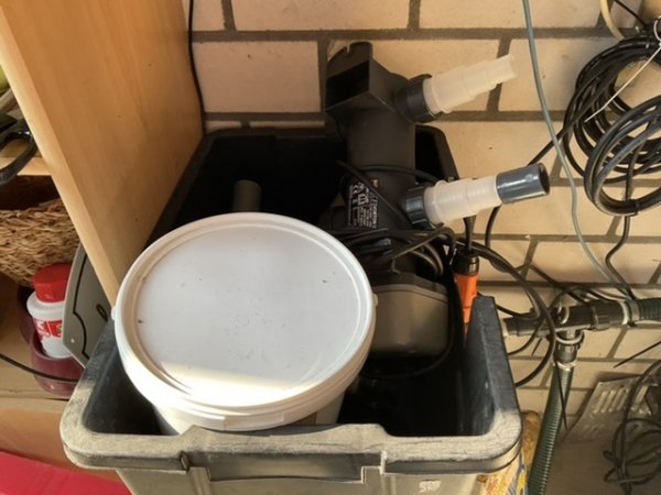 foto nr. 10 van deze Koi Overige , 