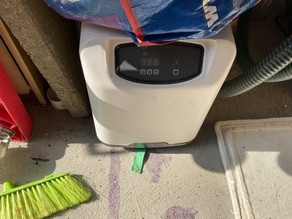 foto nr. 7 van deze Koi Overige , 