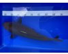 Koi Chagoi voor € 125,00