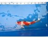 Koi Inazuma Kohaku voor € 125,00